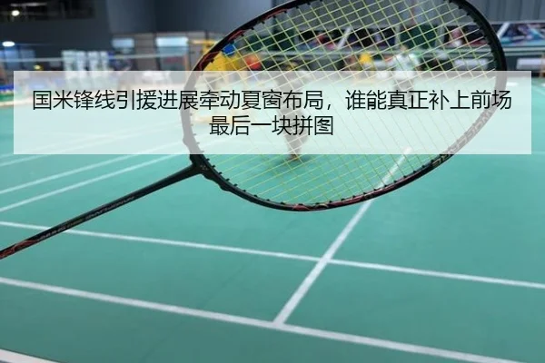 国米锋线引援进展牵动夏窗布局，谁能真正补上前场最后一块拼图