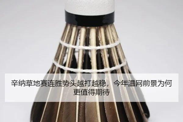 辛纳草地赛连胜势头越打越稳，今年温网前景为何更值得期待